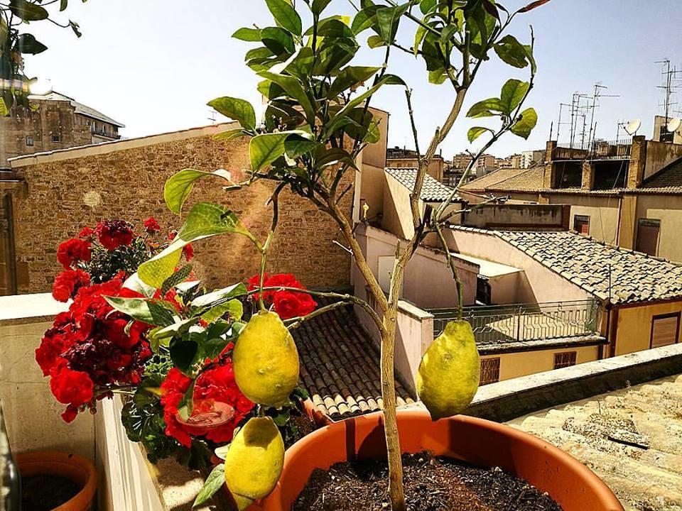 Hotel Plaza Caltanissetta Exterior photo